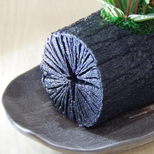 画像をギャラリービューアに読み込む, 炭花壇 L 観葉植物