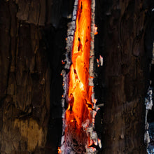 画像をギャラリービューアに読み込む, スウェディッシュ(スウェーデン)トーチ