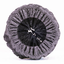 画像をギャラリービューアに読み込む, 炭花壇制作キット