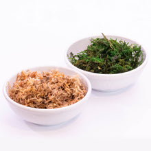 画像をギャラリービューアに読み込む, 炭花壇制作キット