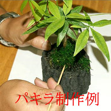 画像をギャラリービューアに読み込む, 炭花壇制作キット