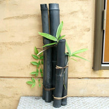 画像をギャラリービューアに読み込む, 竹炭