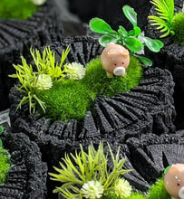 画像をギャラリービューアに読み込む, 炭牧場