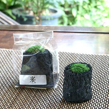 画像をギャラリービューアに読み込む, 炭苔 プリザーブド