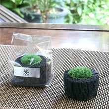 画像をギャラリービューアに読み込む, 炭苔 プリザーブド