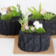 画像をギャラリービューアに読み込む, 炭牧場