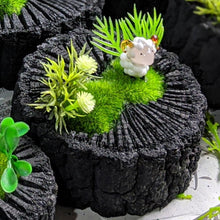 画像をギャラリービューアに読み込む, 炭牧場