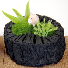 画像をギャラリービューアに読み込む, 炭牧場