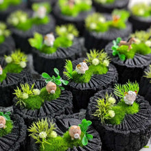 画像をギャラリービューアに読み込む, 炭牧場