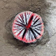 画像をギャラリービューアに読み込む, 椚丸切炭(くぬぎ丸切炭) 6kg