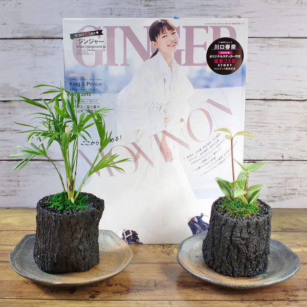 雑誌「GINGER」にて炭花壇をご紹介いただきました。