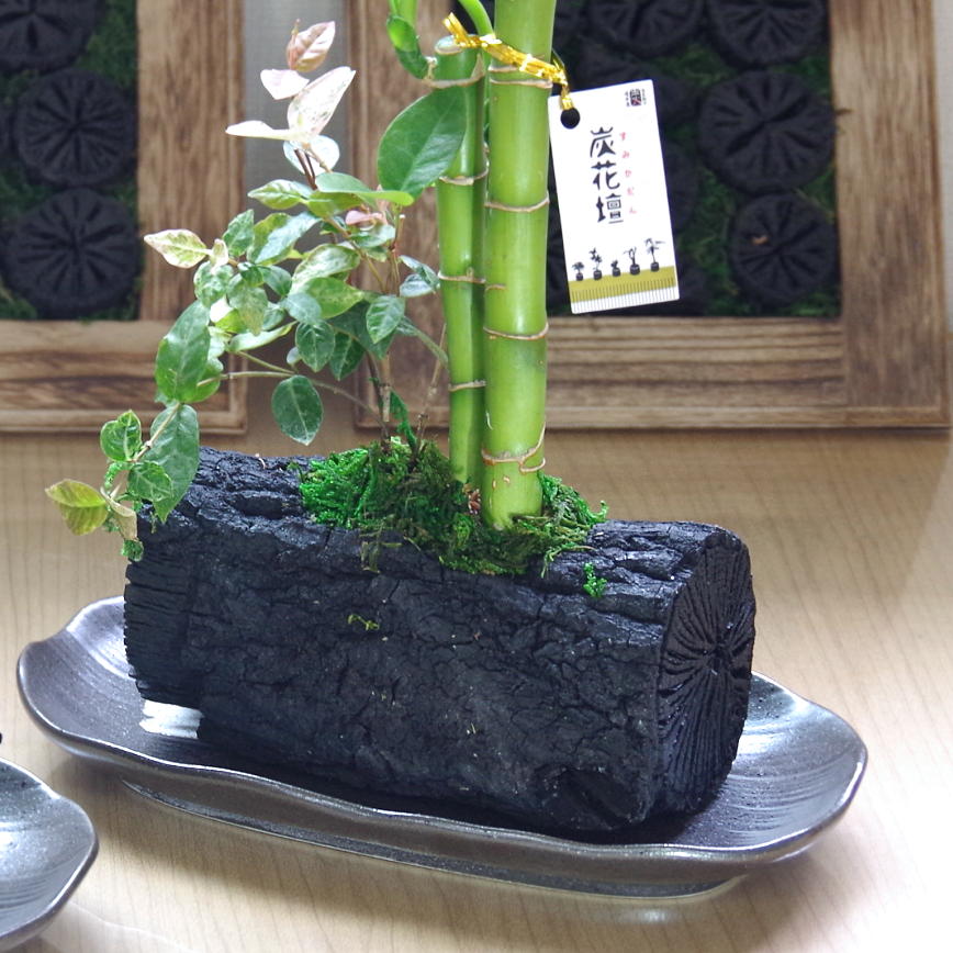 炭花壇 L 観葉植物