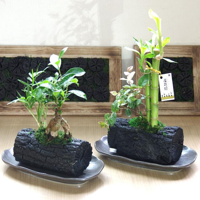 炭花壇 L 観葉植物