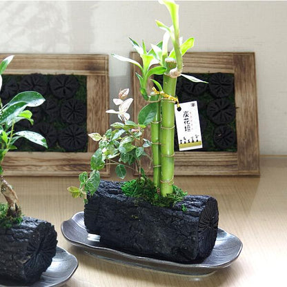炭花壇 L 観葉植物
