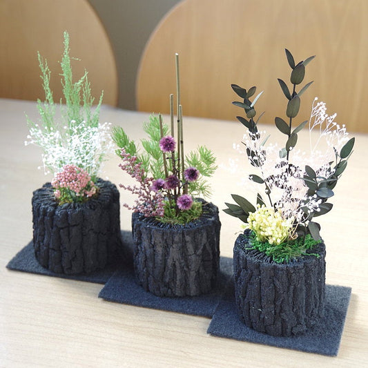 炭花壇 プリザーブドS