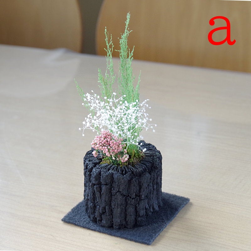 炭花壇 プリザーブドS